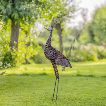 Kroonkraanvogel groot